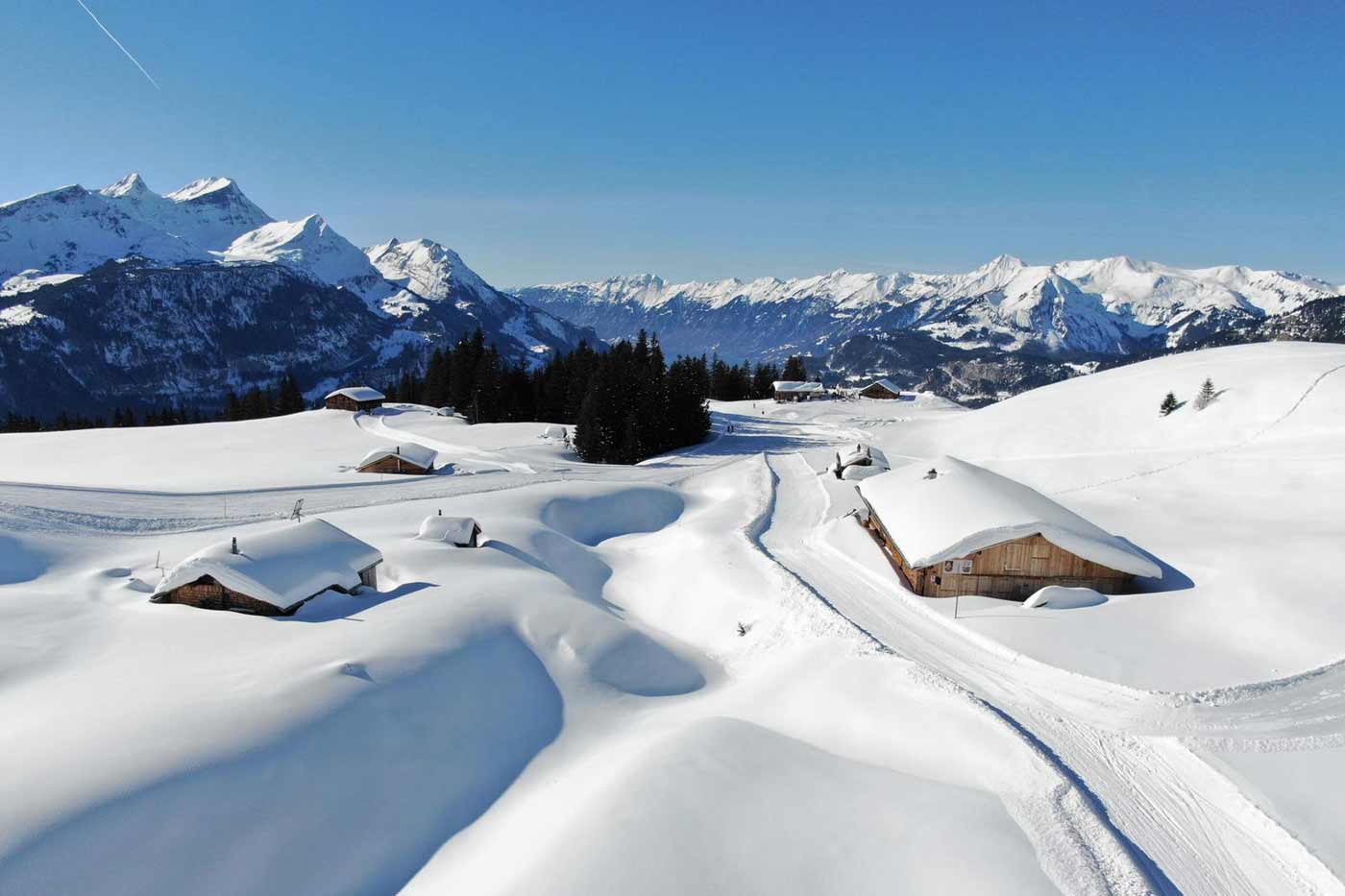 Sneeuw Berner Oberland
