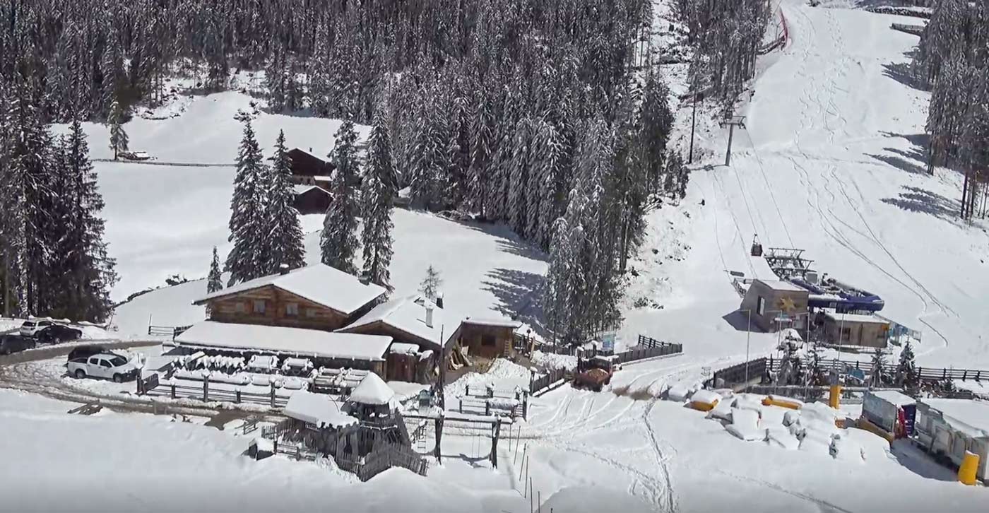 Besneeuwde bomen in Drei Zinnen Dolomites