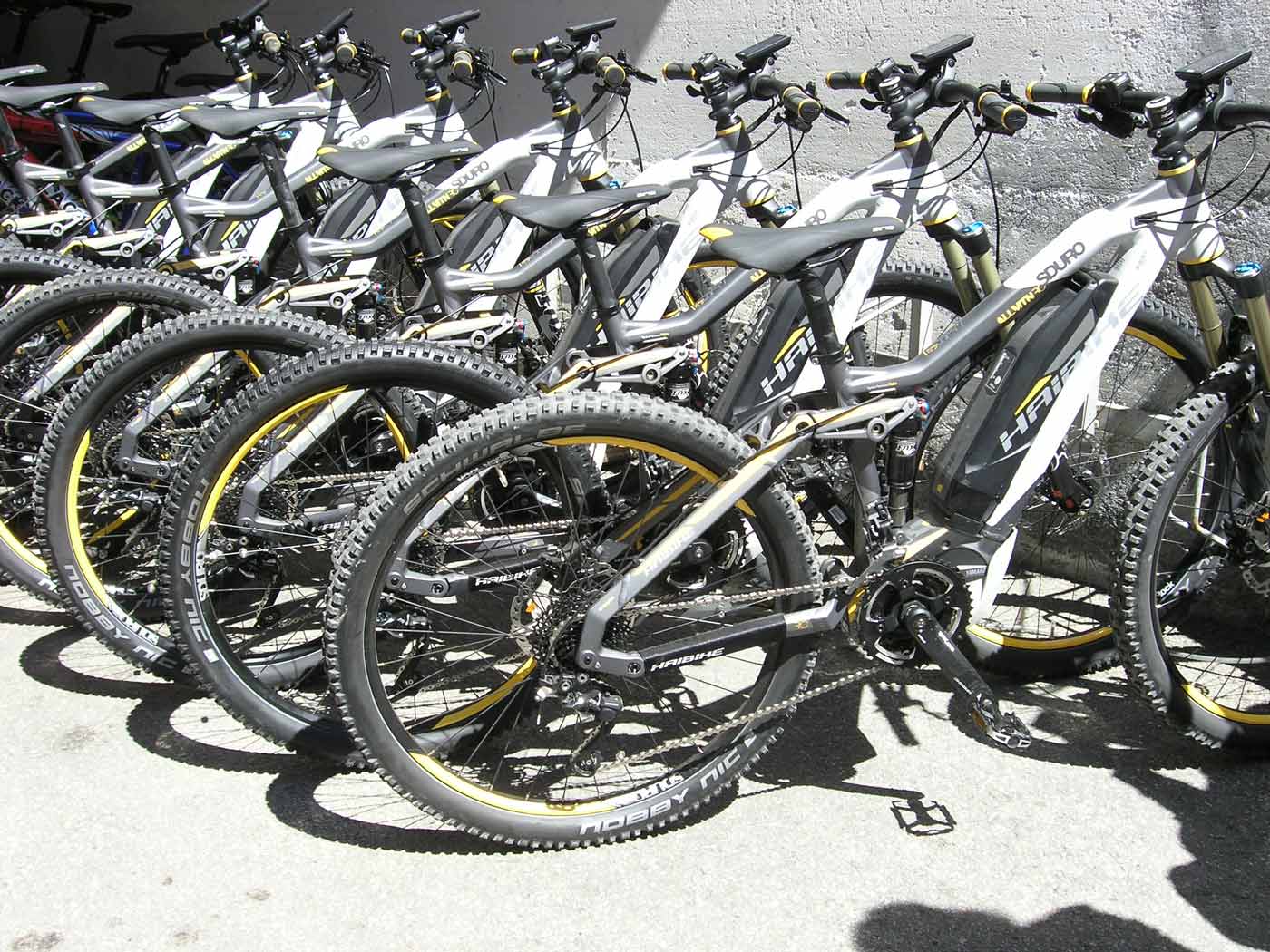 Meerdere mountainbikes op een rijtje
