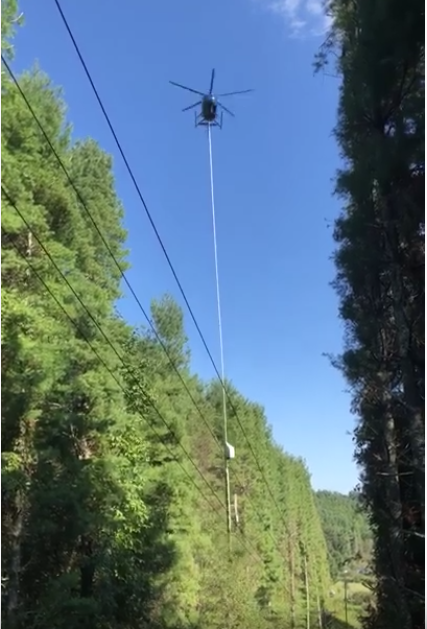 Bomen snoeien