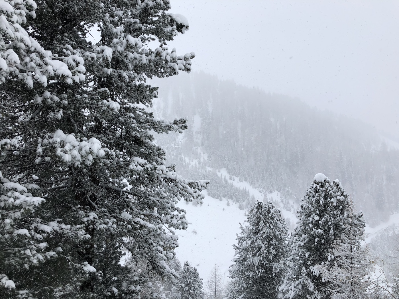 Sneeuwval