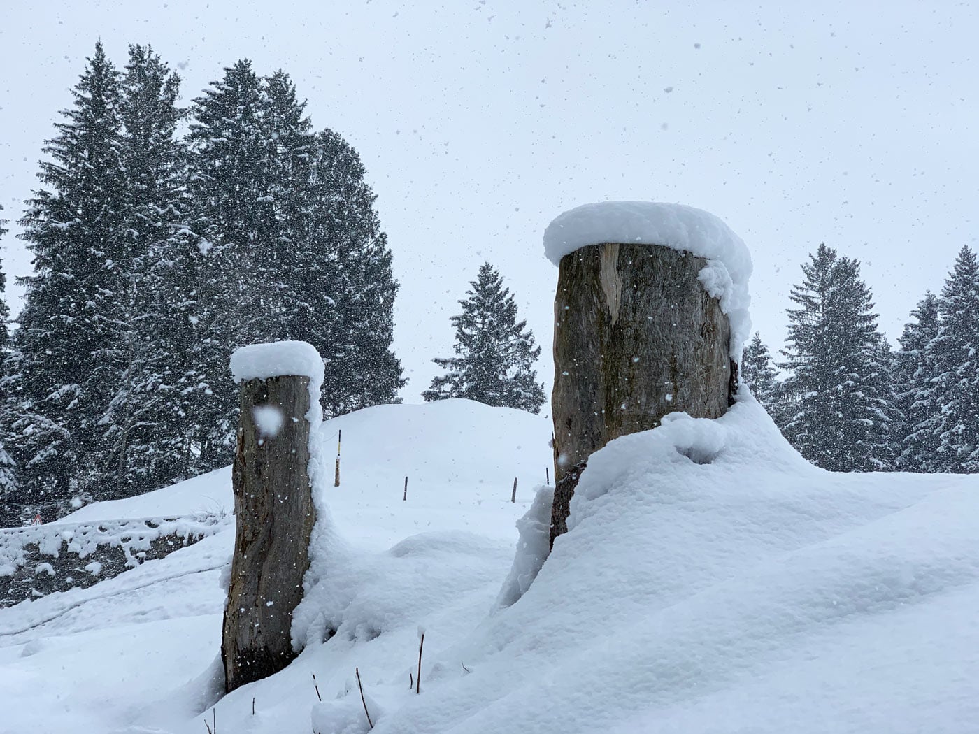 Sneeuw met sneeuwvlokken