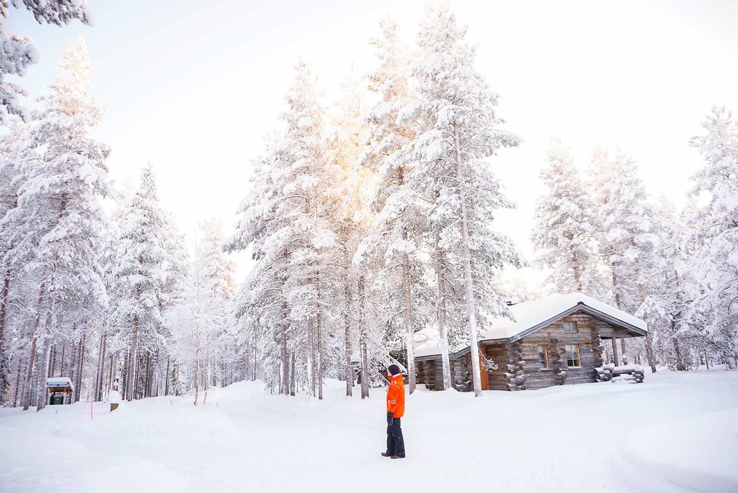 Landschap Lapland