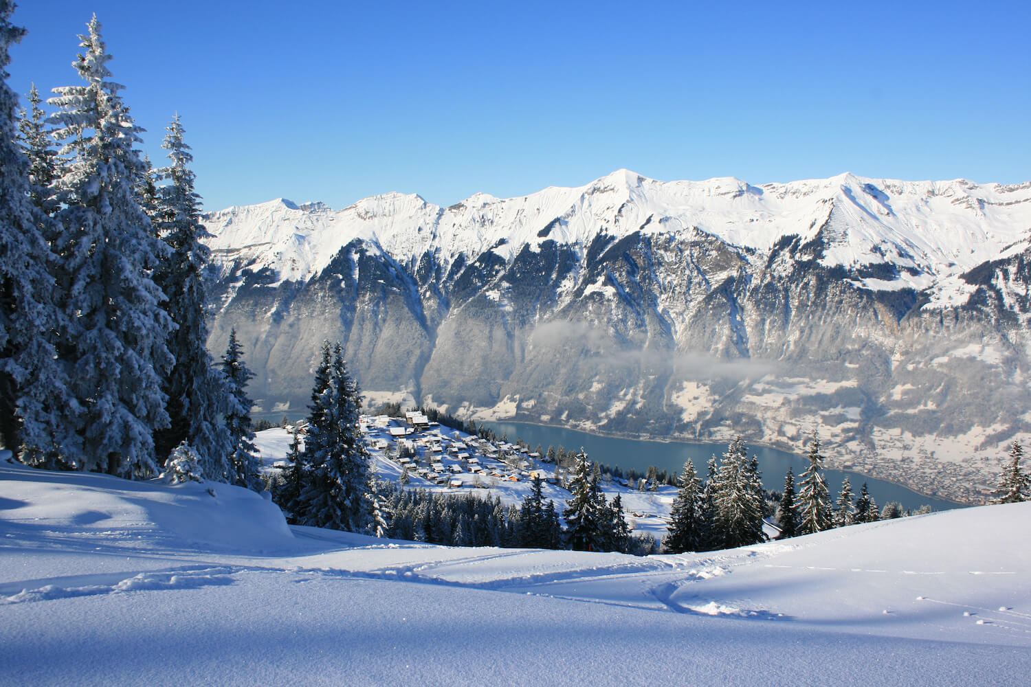 Familieskigebied Axalp in de regio Interlaken Zwitserland