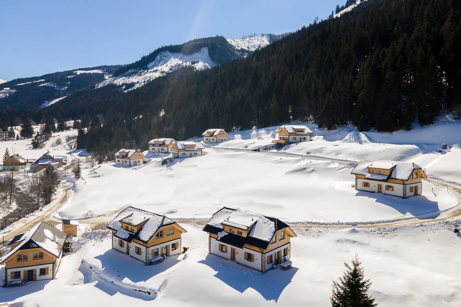 chaletpark Donnersbachwald