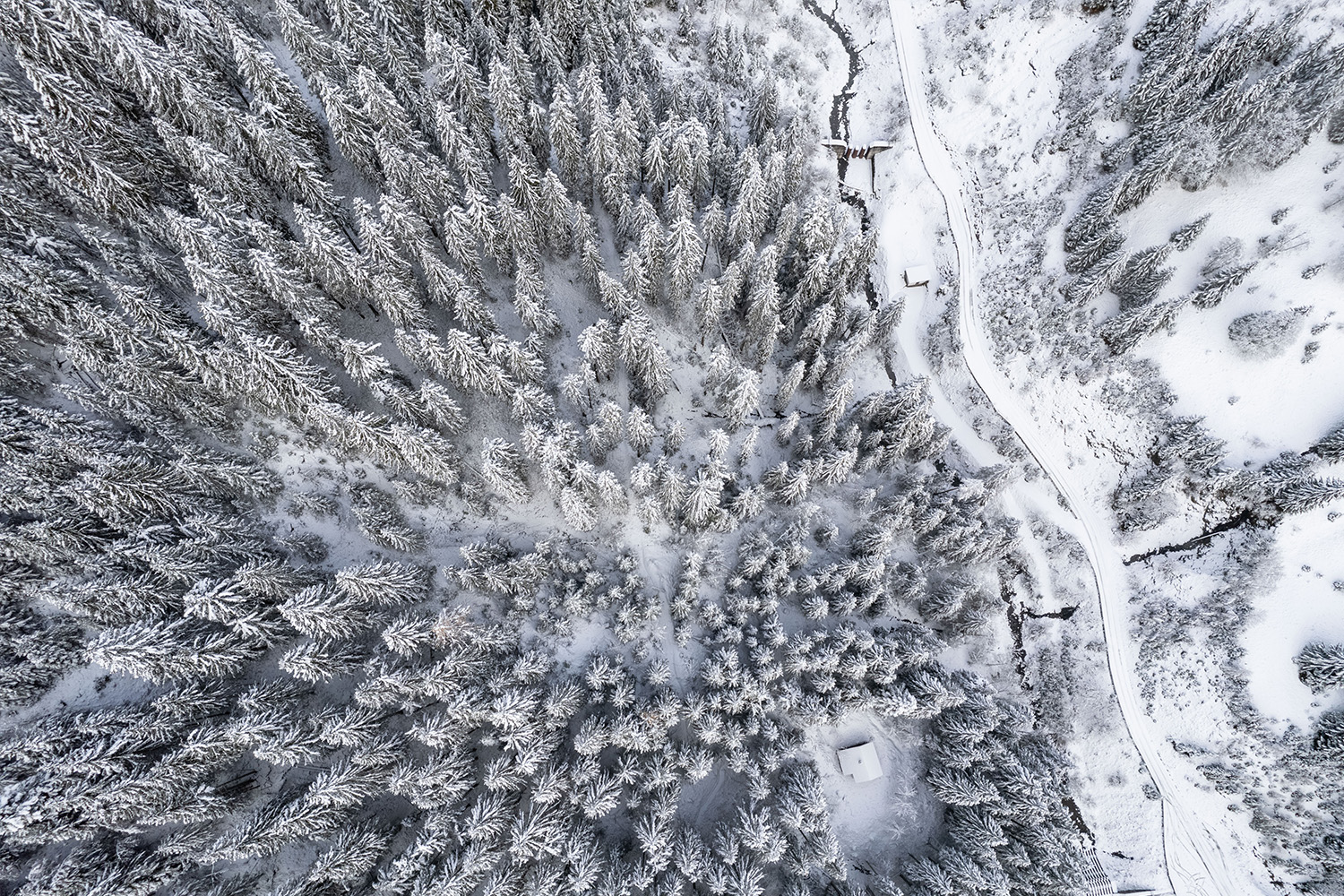 Sneeuwlandschap