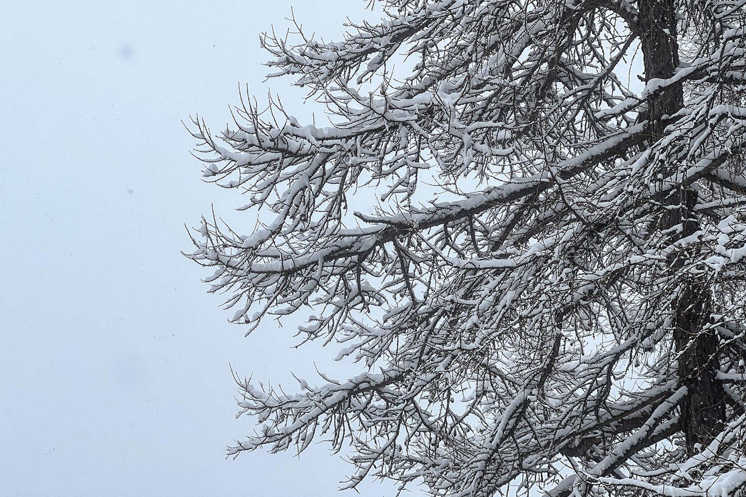 sneeuw in Sölde