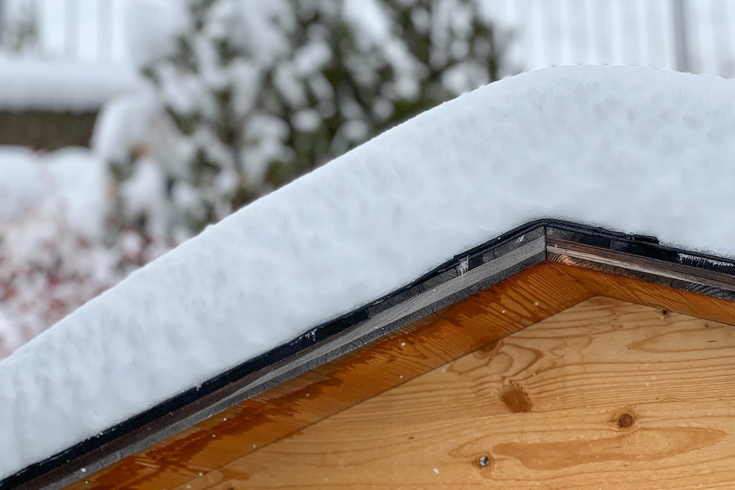 sneeuw